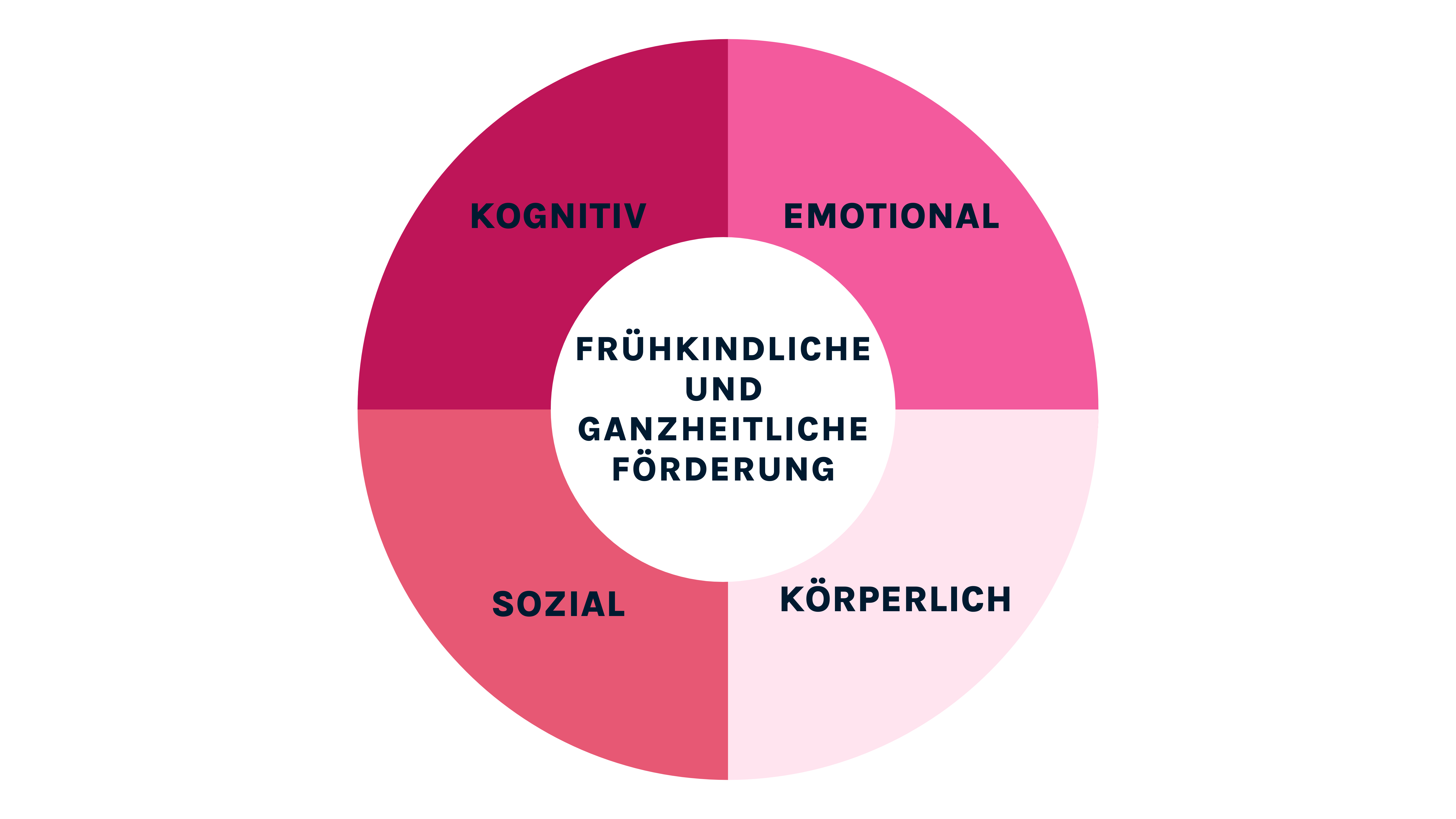 ein Kreisdiagramm zu den Bereiche kogintive, soziale, emotionale und körperliche Entwicklung und Förderung von Kindern