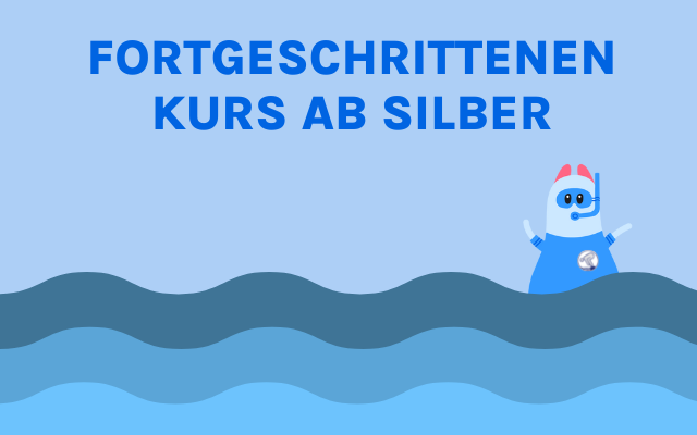 Fortgeschrittenenkurs ab Silber