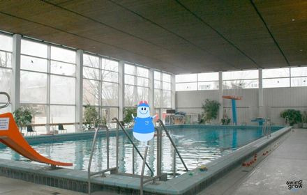 In das Schwimmbecken des Hallenbads Hochheim führt eine orangene Rutsche sowie eine Leiter, im Hintergrund ein Springturm sowie eine Fensterwand