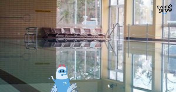Das Schwimmbad des 4Elements Selm für die Schwimmkurse unserer Schwimmschule ein großes Schwimmbecken und Liegemöglichkeiten